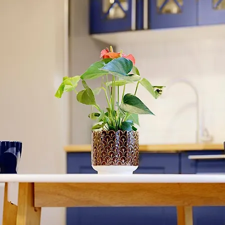 Na Niebieskim Widoku Apartmán